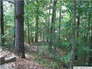 WOODED LOT, BACK YARD VIEW