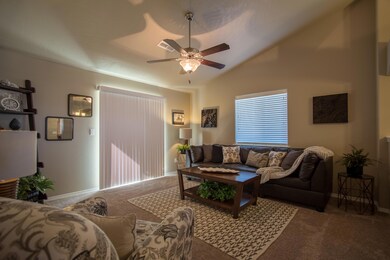 Clearwater - Living Room