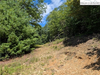 TBD Parkway Pointe Dr, West Jefferson, NC 28694 - photo 5