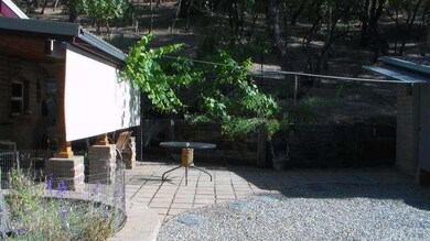 Patio & Grape Arbor