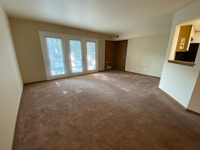 692 Quincy Bridge Ln unit 202, Glenview, IL 60025 - photo 4