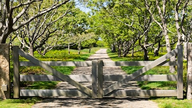 61 Butlers Cove Rd, Edgartown, MA 02539 - photo 2