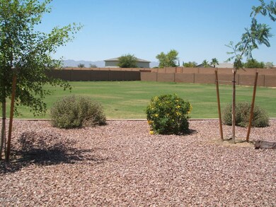 Back yard looking N/ W