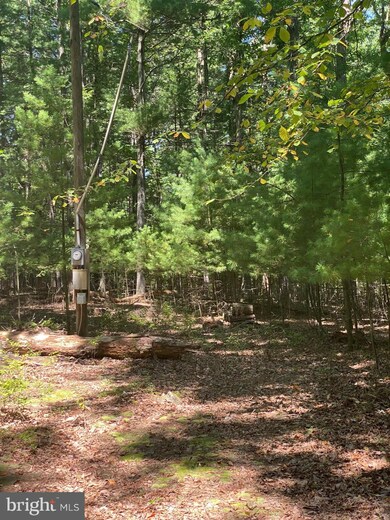 Lots 67 & 68 Tall Tree Dr, Levels, WV 25431 - photo 4