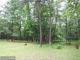 391 Gaither Rd, Great Cacapon, WV 25422 - photo 5