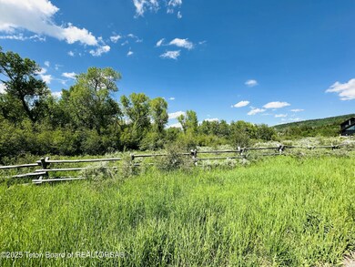 IMG_2649