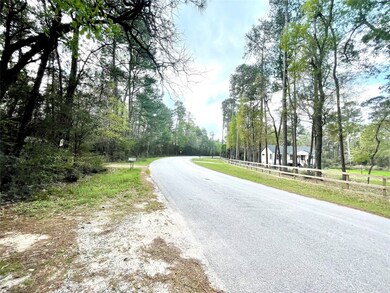 0000 Little John Cir, Hockley, TX 77447 - photo 3