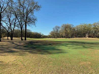 24026 Wood Hollow Dr, Whitney, TX 76692 - photo 3
