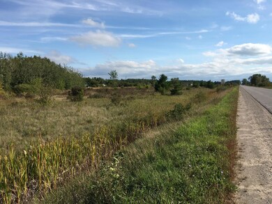 0 Townline Rd unit 201816742, Cheboygan, MI 49721 - photo 4