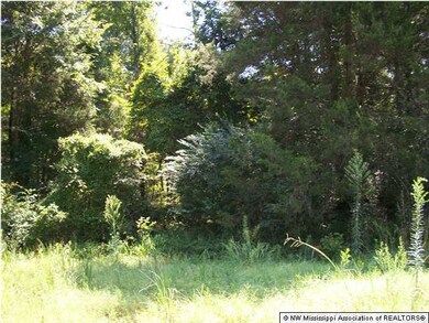 unlisted-address, Hernando, MS 38632 - photo 6