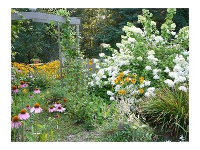 Yard/Garden.