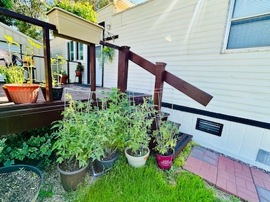 Steps & stairs to front porch