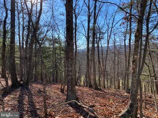 0 Christian Church Rd unit WVHS2000982, High View, WV 26808 - photo 7