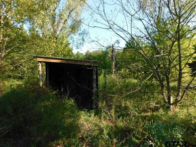 2836 Roy Rd, Tyler, TX 75791 - photo 6