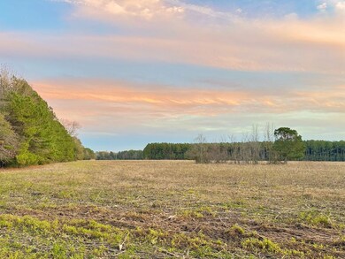 1432 S Friendfield Rd, Scranton, SC 29591 - photo 6