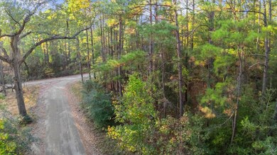 88 Deodar Dr, Brookeland, TX 75931 - photo 6