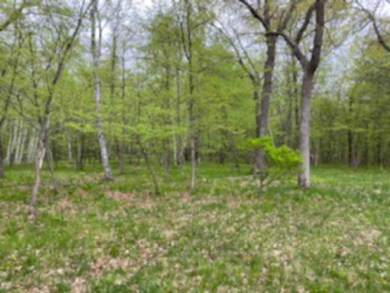 Pine Island Lake Lot