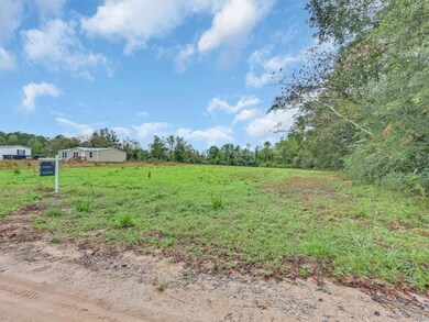 TBD Willow Grove Dr unit Lot 9, Loris, SC 29569 - photo 6
