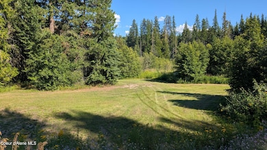 Deep Creek Loop Tract 2 pic 15