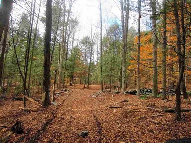 0 E Town Farm Rd unit 4606722, Putney, VT 05346 - photo 2