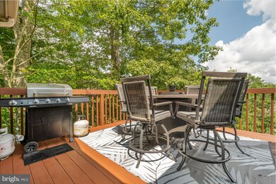 25 Silver Tree Ln, Oakland, MD 21550 - photo 3