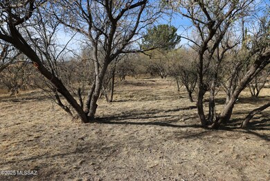 North Boundary