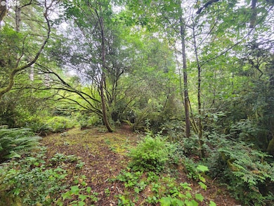 0 Sand Dune Park Dr unit TL 800 254608161, Florence, OR 97439 - photo 2