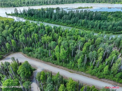 17-54954 S Salmon Run Rd-1