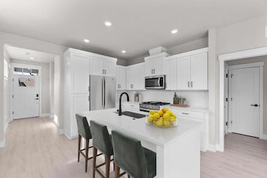 TS58-Orchard-F-Classic-Kitchen