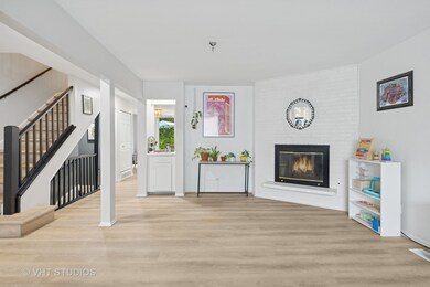 14 Birch Tree Ct, Elmhurst, IL 60126 - photo 5