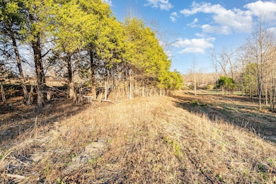 0 Maple Valley Rd, Cumberland Furnace, TN 37051 - photo 6