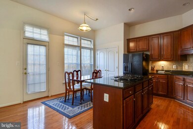 21897 Hawksbury Terrace, Broadlands, VA 20148 - photo 4