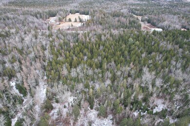 Lot 51 Route 1, Pleasant Point, ME 04667 - photo 6