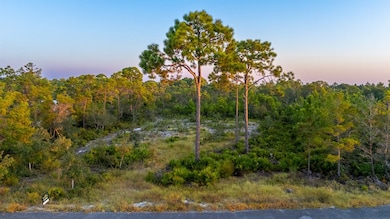 267 Ridgecrest Pkwy, Eastpoint, FL 32328 - photo 4