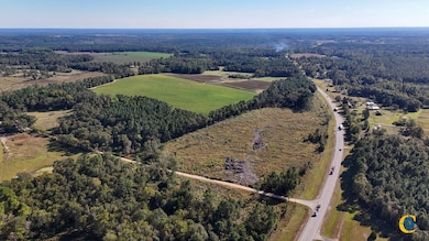 County Road 121, Jacksonville, GA 31544 - photo 6