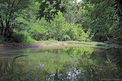 2930 River Bluff Farms Rd, Farmington, MO 63640 - photo 3