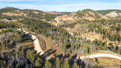 Lot 40 Golden Hills Dr, Sturgis, SD 57785 - photo 3