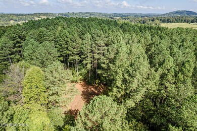 395 Ob Davis Rd-10