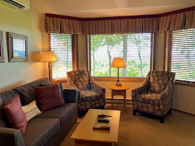 4908 Landmark Cir unit 1321, Egg Harbor, WI 54209 - photo 4