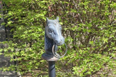 Carousel Image
