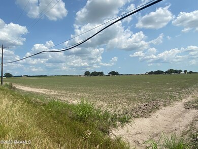 IMG-4113