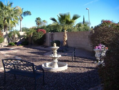 Huge back yard
