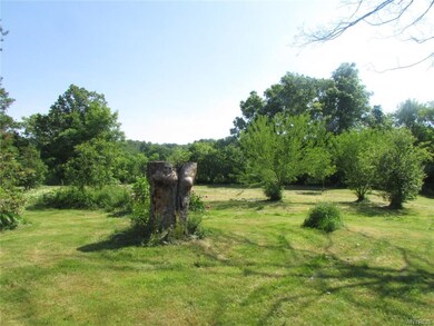 Fruit trees.