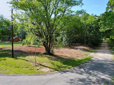 157 James Shannon Ln, Sadler, TX 76264 - photo 3