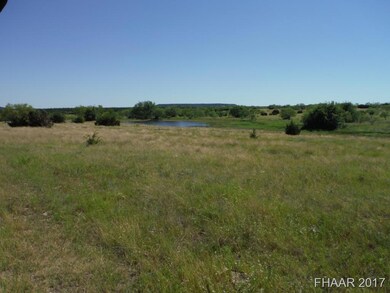 Tract 13 Private Road 3642, Copperas Cove, TX 76522 - photo 3