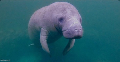 333 Sunrise Cay unit 2, Naples, FL 34114 - photo 5