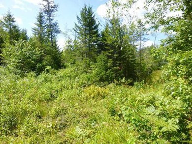 Land/Lot.