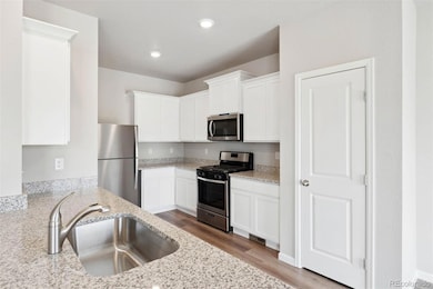 969 Cascade Falls St, Severance, CO 80550 - photo 2