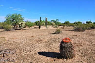 End Of E Sianna Dr E, Marana, AZ 85658 - photo 2