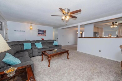 Newer carpet throughout